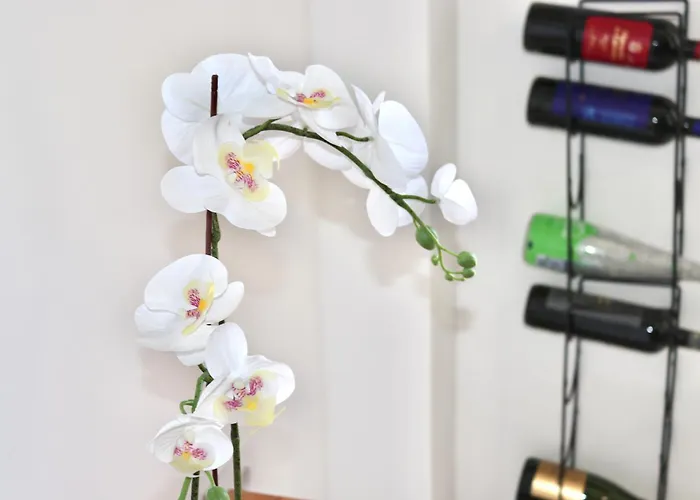 Seaside Heaven Panorama Views Prime Location *