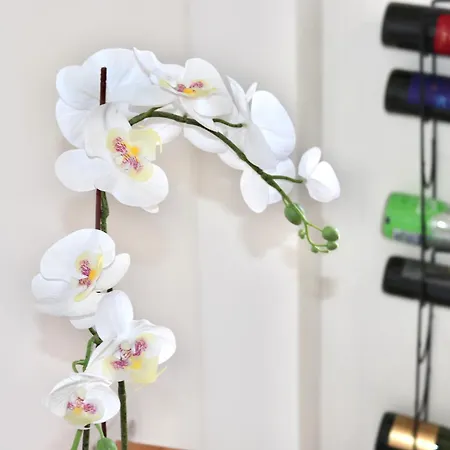 Seaside Heaven Panorama Views Prime Location *