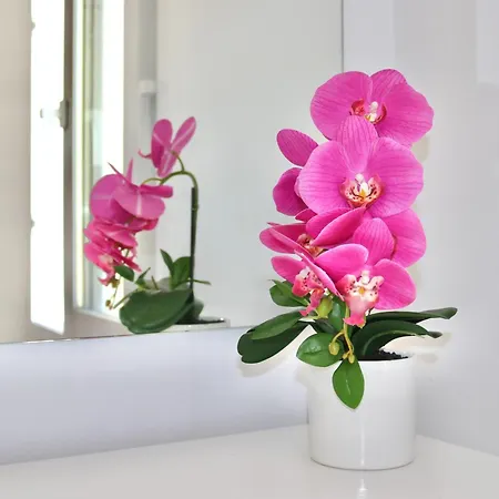 Seaside Heaven Panorama Views Prime Location Torremolinos